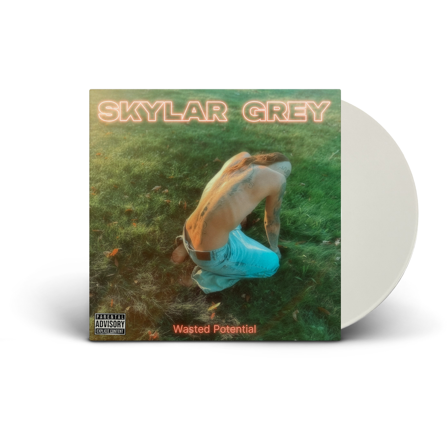 Skylar Grey - WASTED POTENTIAL - LP